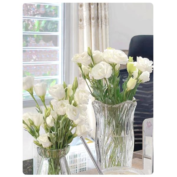 Lisianthus